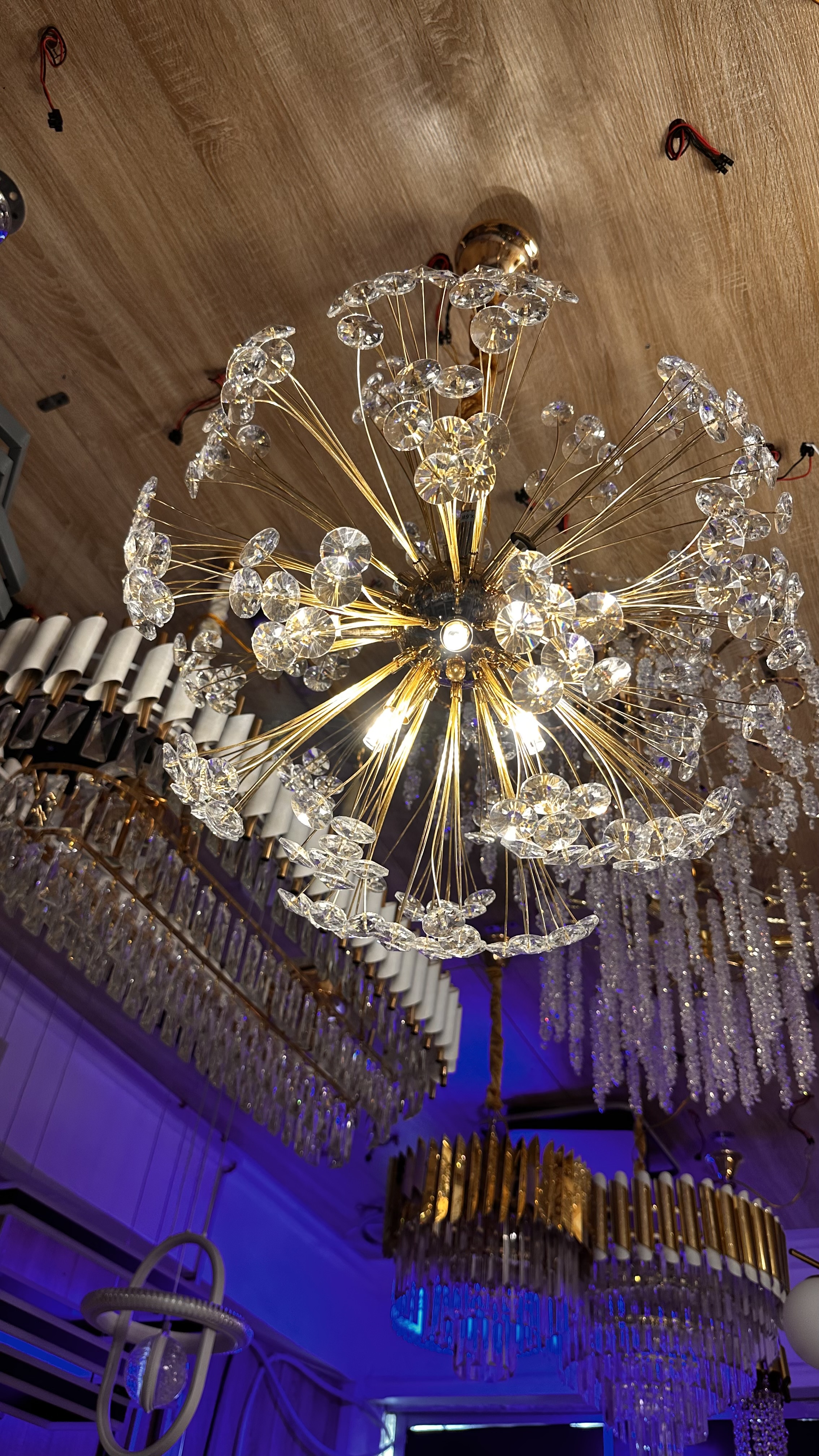 Flower crystal chandelier  3